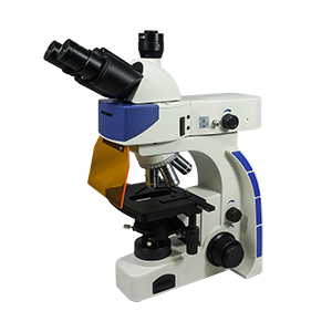 Fluorescence Microscope